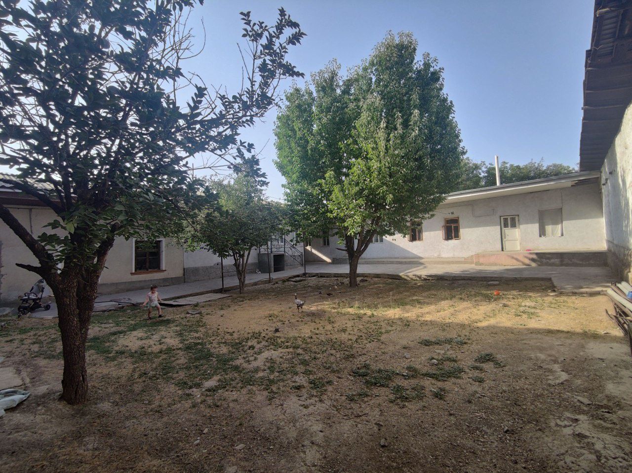 Eshonguzar qaxramon Uchastka sotiladi 5.4 sotix 6 xona+Birinchi linya