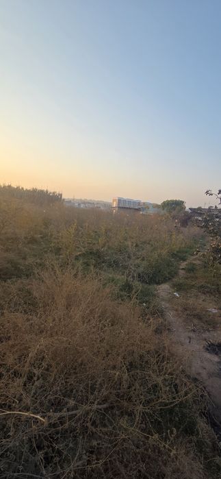 10 sotix  tomorqa  sotiladi