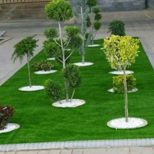 Archa gullar sotiladi