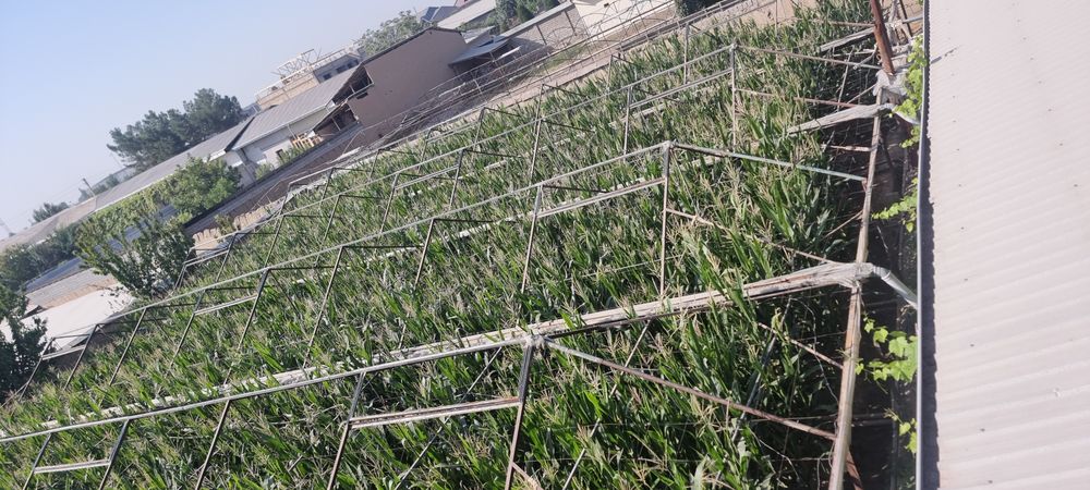 Teplitsa parnik sotiladi