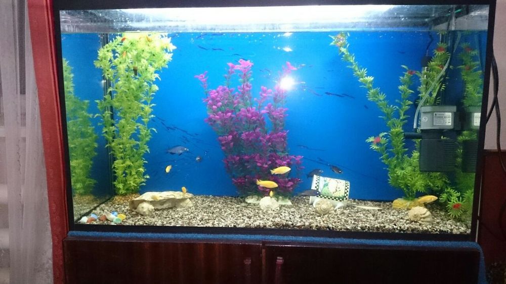 Аквариум 200 литров и 40 литров