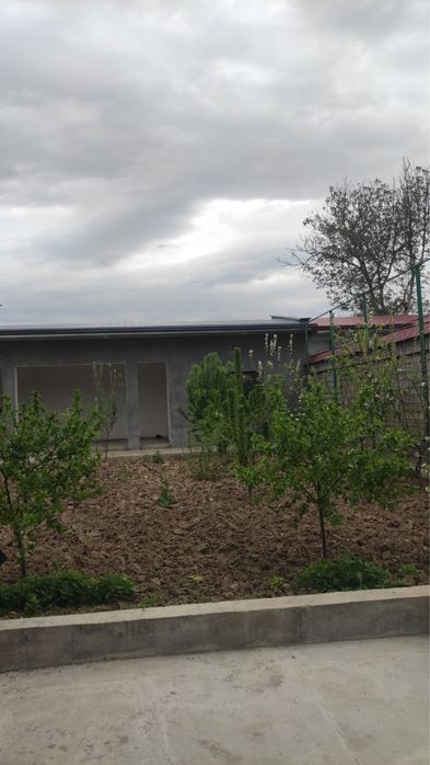 Dacha dala hovli sotiladi