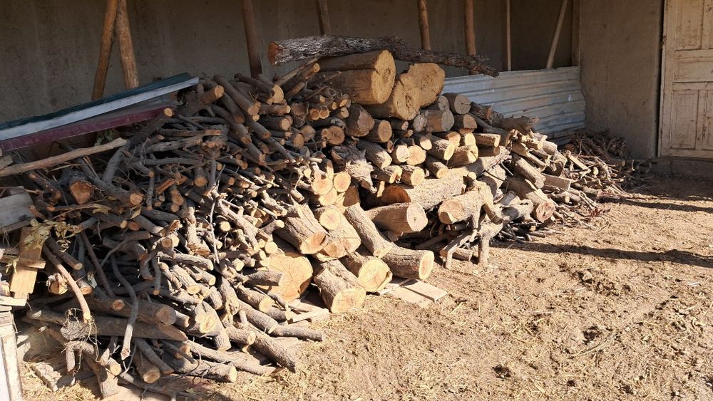 Arizona urinar sotiladi