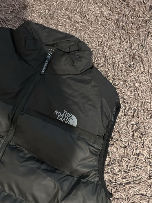 Vesta the north face
