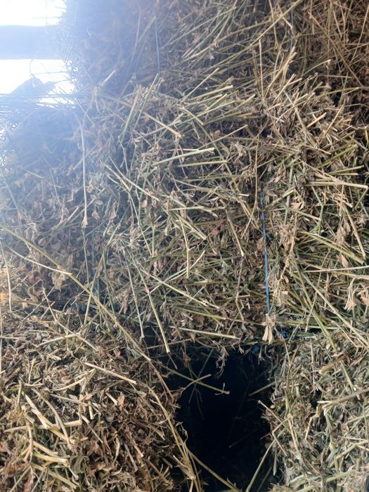 Baloti  de fan și otava si lucerna  1300 Baloti