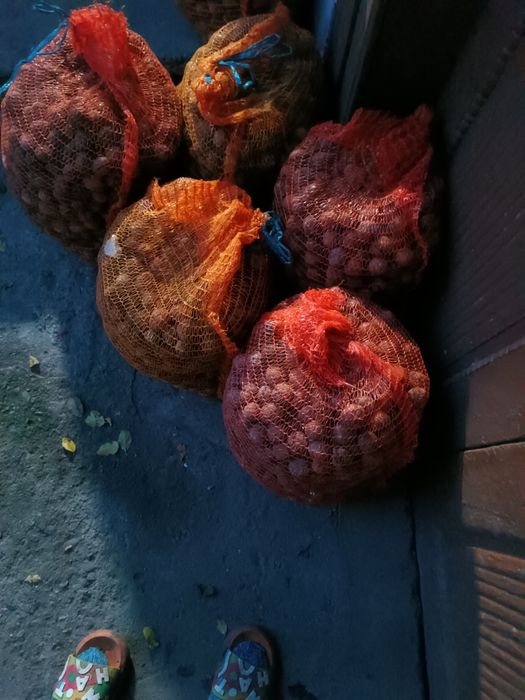 Nuci de vânzare  75 de lei mia