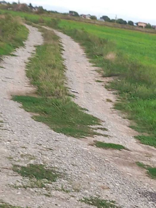 Teren 10000 m autostrada Buc-Pitesti