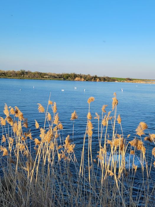 Teren intravilan situat pe malul lacului