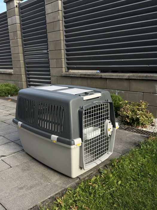 Cusca Gulliver animale de companie