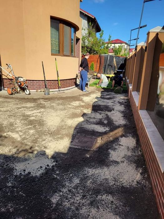 Gazon rulou plante ornamentale