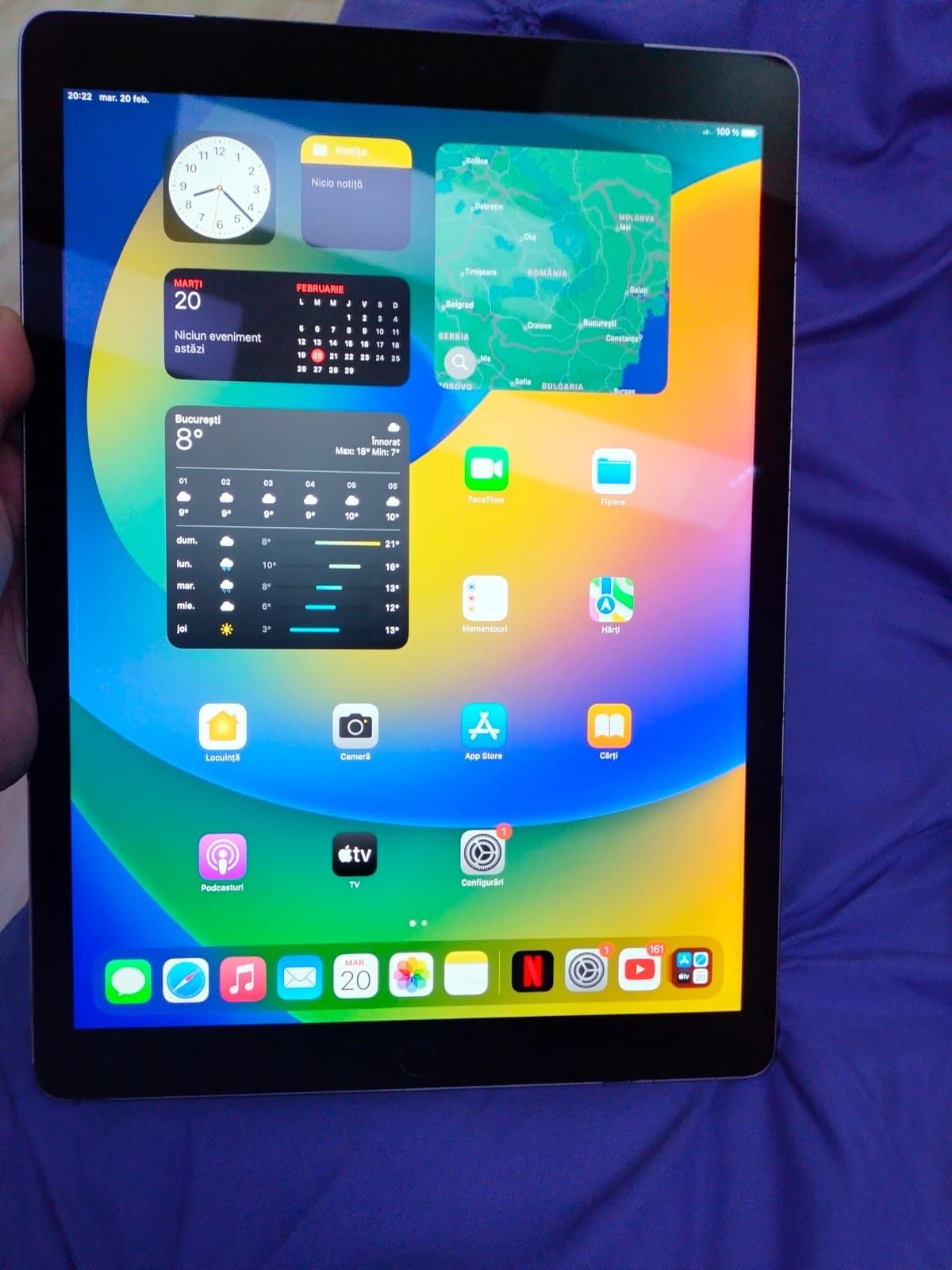 iPad pro 12.9 inch