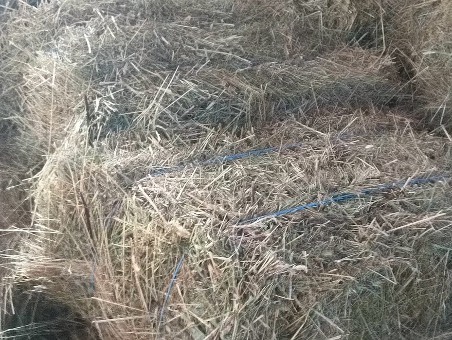 Baloți de otavă și de fân!