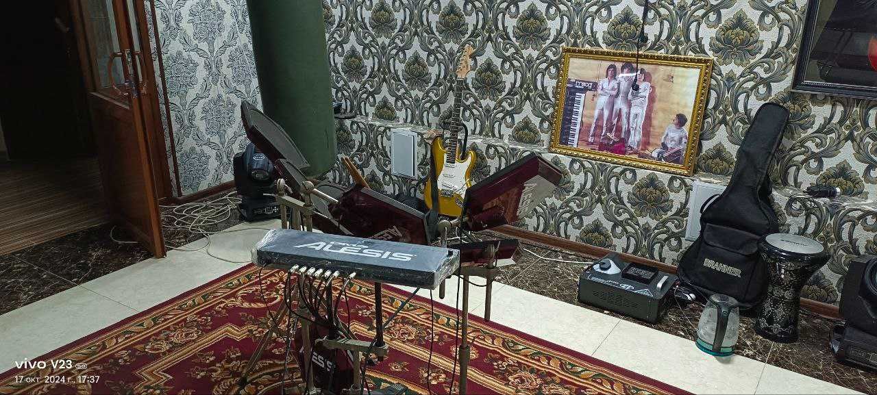 Барабанная установка Alesis