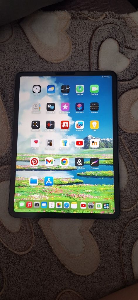 Apple iPad Pro 1 11.0" (2018) 1st Gen Cellular, 256 GB, Space Gray
