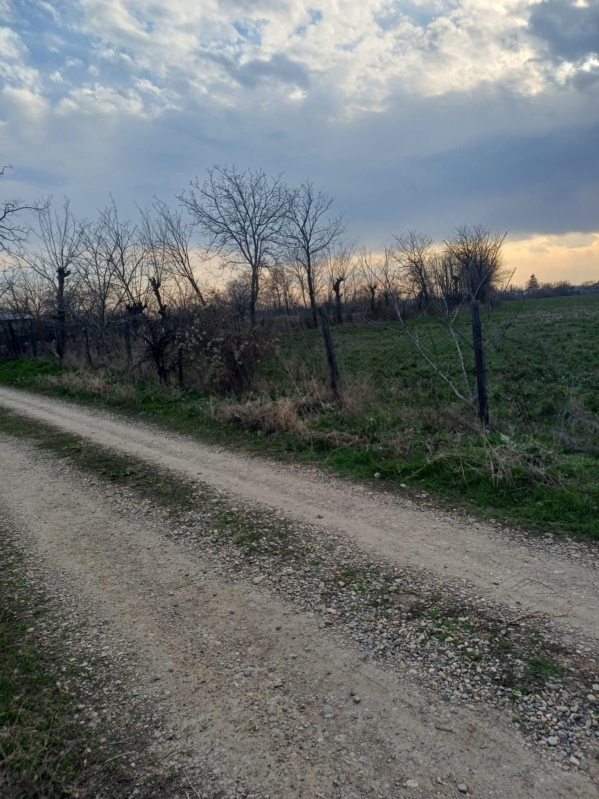 Teren intravilan, de vanzare