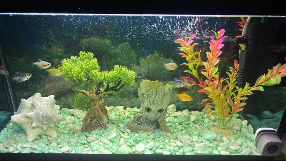 Продаю аквариум 40 литров