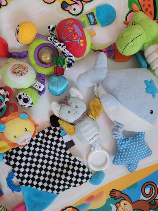 Lot Jucarii copii interactive sau plus