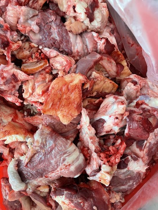 Мясо для собак головная жилка