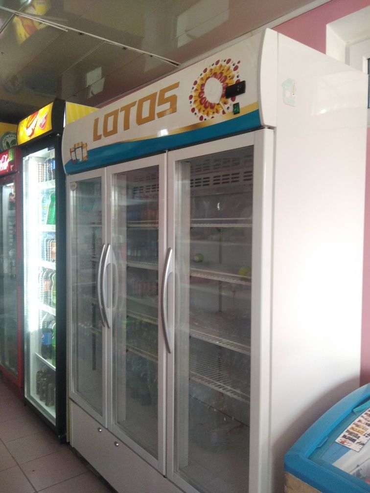 Холодильник Lotos