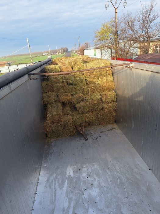 Porumb și baloti lucerna