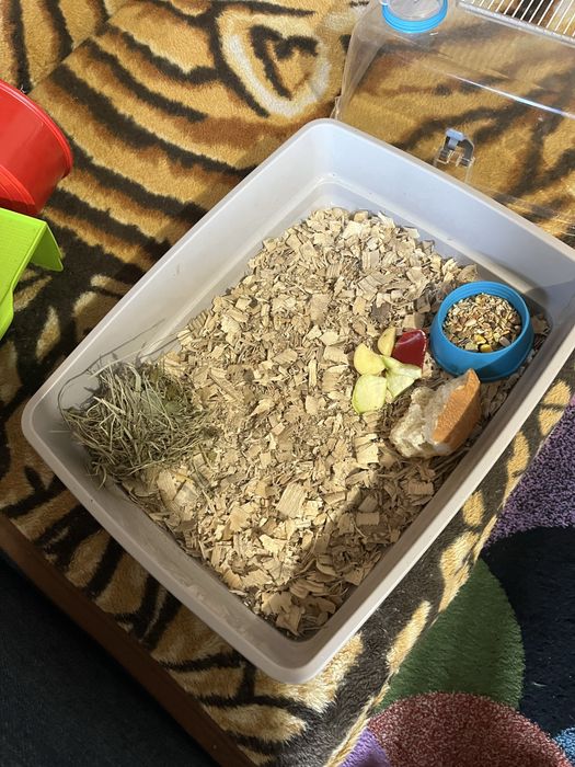 Vand hamster cu tot cu cușcă