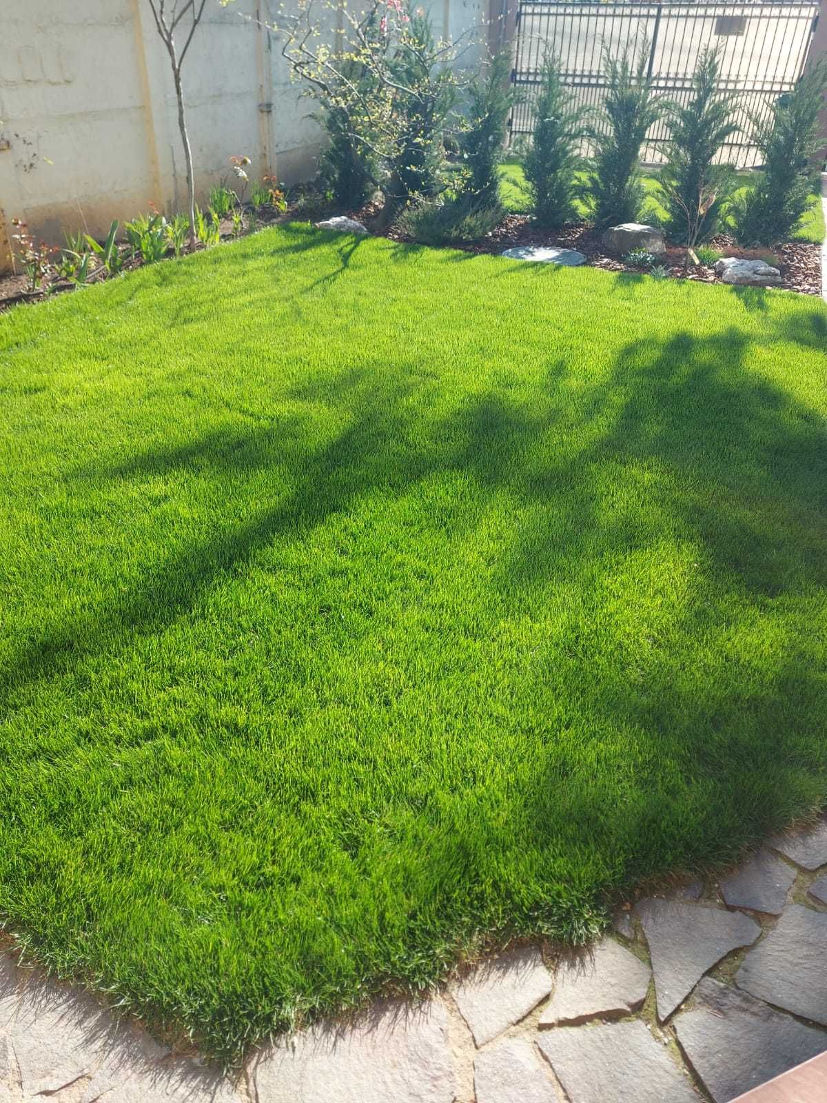 Întreținere grădini, gazon, plante, arbori, piscine - Inginer horticol