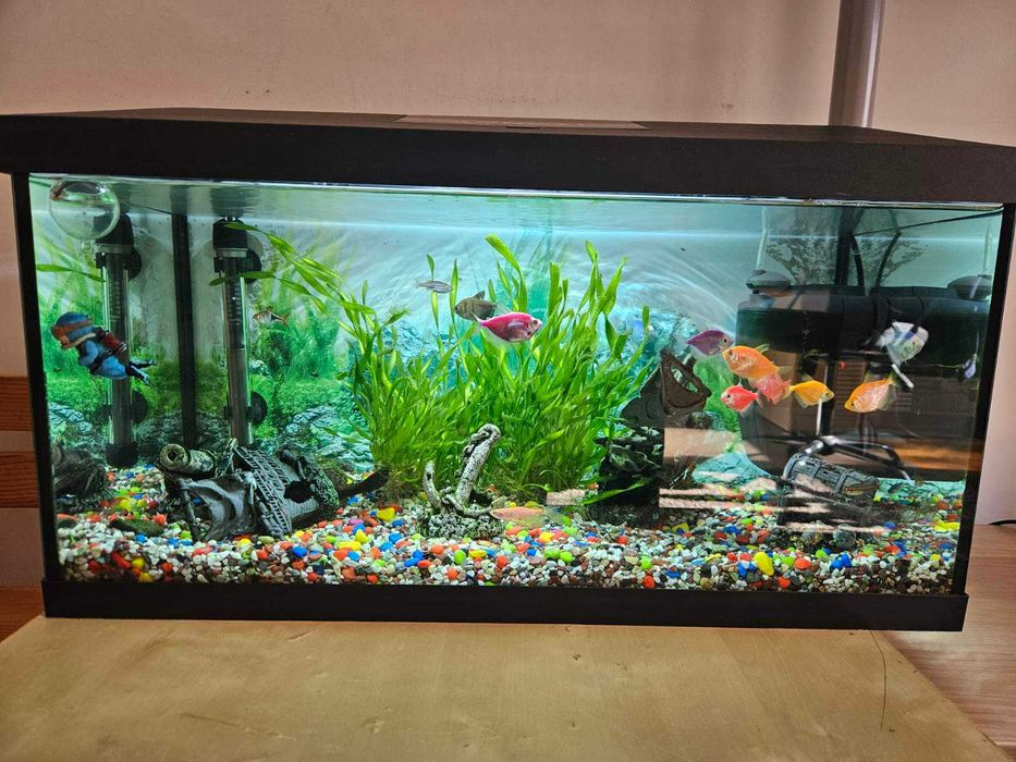 Аквариум с рибки