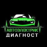 Автоэлектрик диагност Выезд
