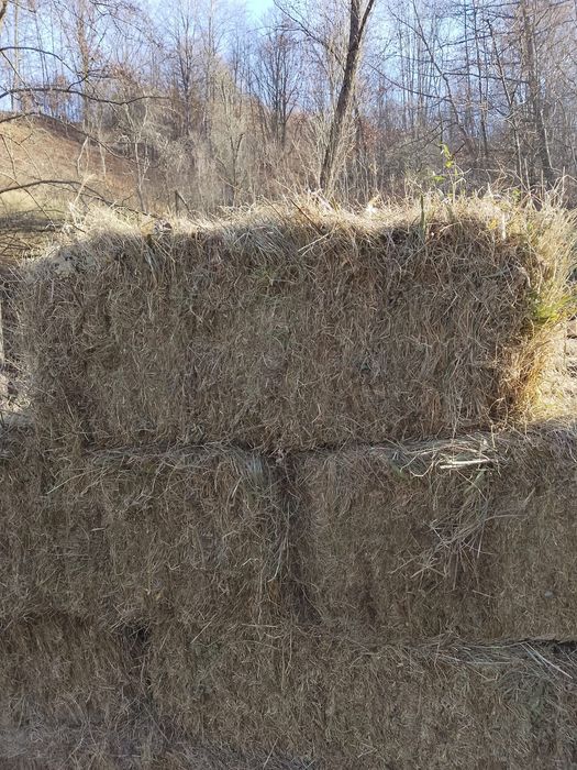 Vand baloti fân de gradina