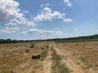Продавам малки бали ечемичена слама