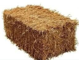 Somon [Sholi poyasi] Kiplangan