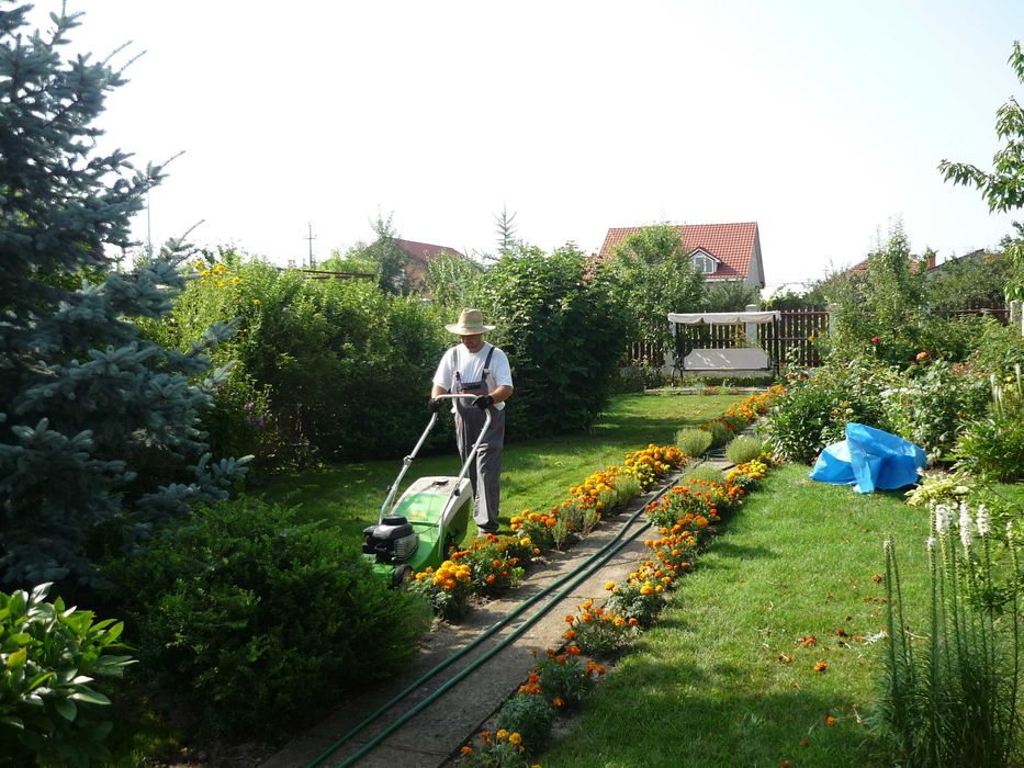 Montam pavaje, toaletam arbori, amenajam spatii verzi