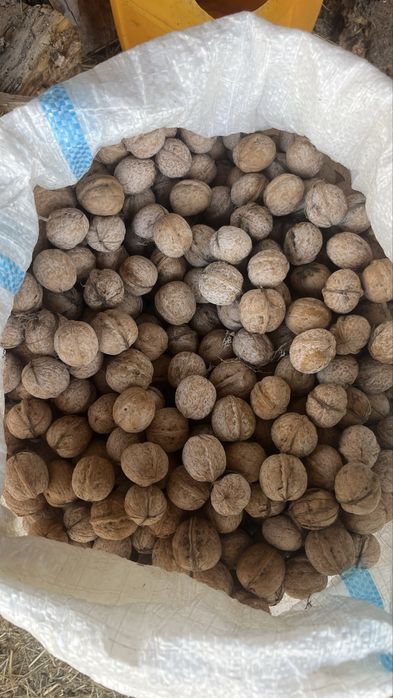 грецкий орех 600 теңгеден 2025 жылғы өнімдер