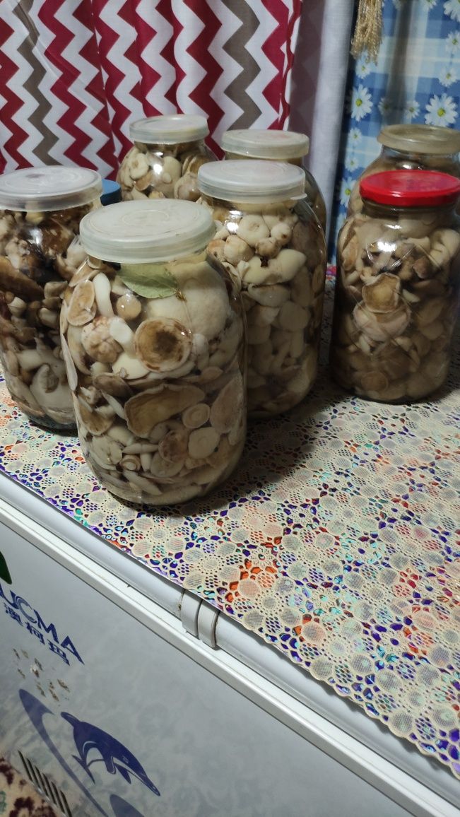 Продам грибы маслята и подтапольники
