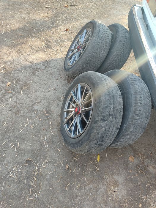 Saka diska 14 balonlari bilan sotiladi