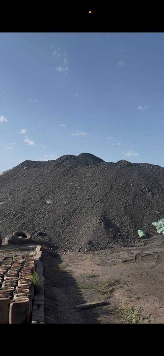 komir kondan togrima togri