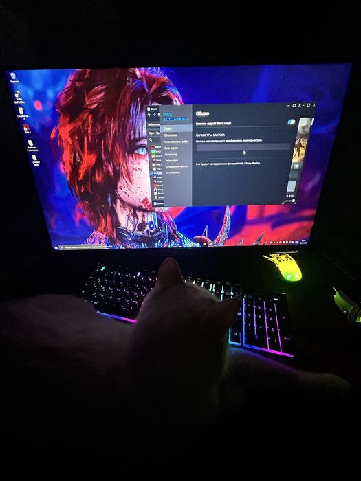 Продам срочно компьютер+моник 1070ti / 165 герц