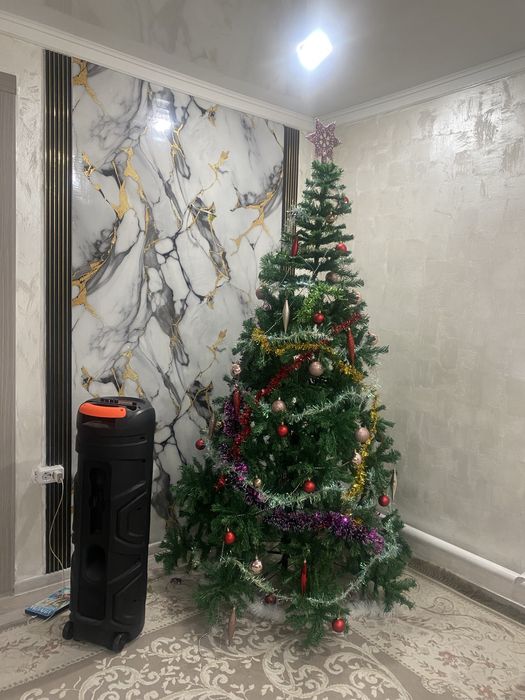 Продам елку 20000