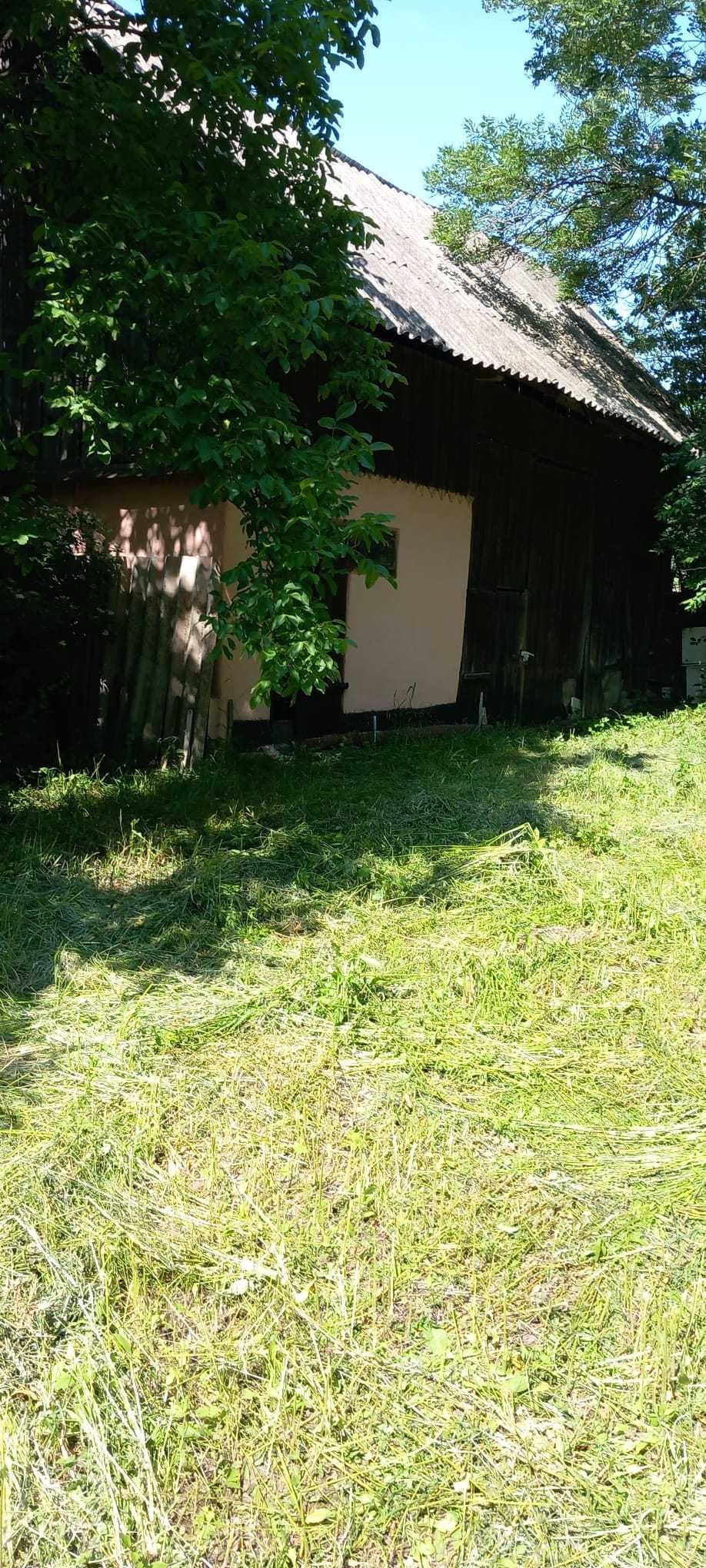 Ofertă ! Vand casă 3 camere , teren si pădure , 37000 euro !
