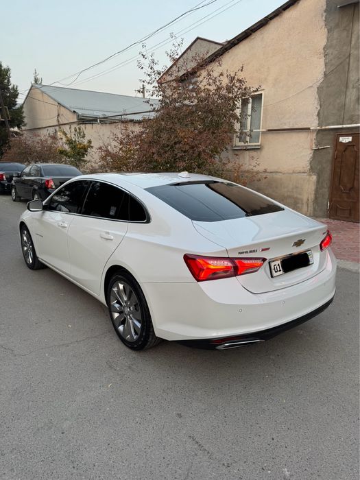 Malibu2 Premier Tozza Ideal Bitta qol srochna