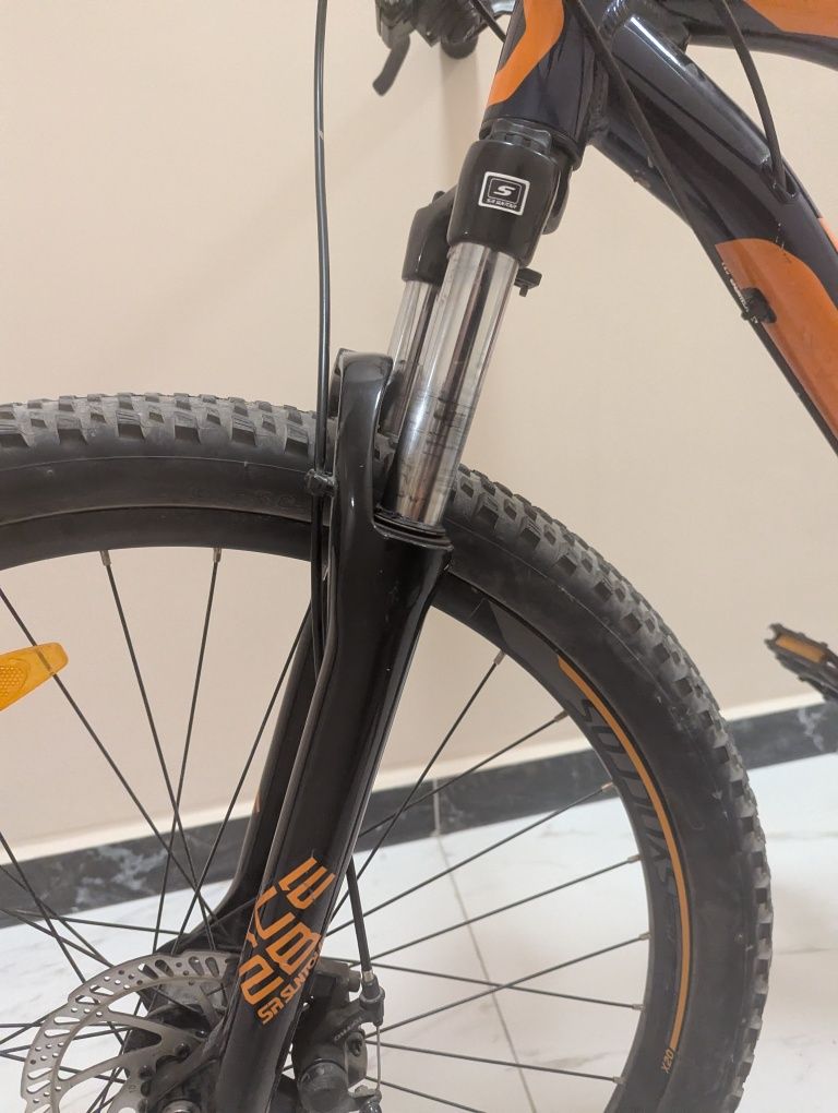 Scott aspect 2021
