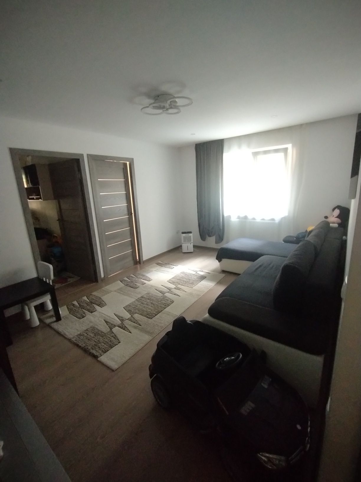 Apartament 3 camere