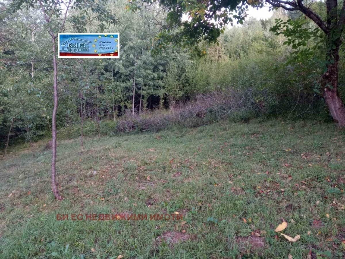 Къща в с. Ямна с голям двор