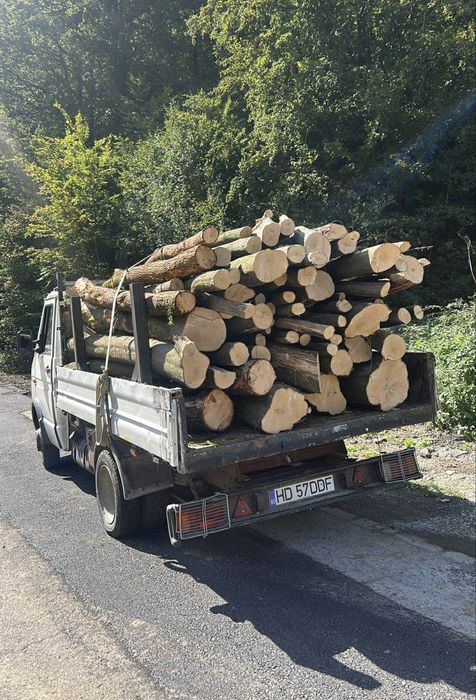 Lemn de foc Fag ,Stejar ! Cele mai bune preturi!! Tot judetul !!