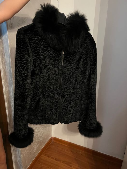 Gecuta blăniță elegantă