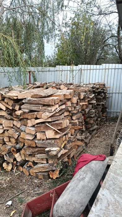 Vând lemn de stejar uscate