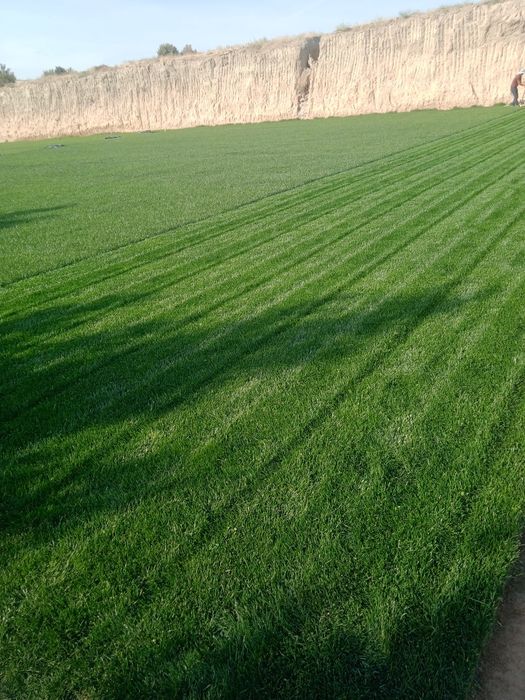 Gazon  lanshaft rulon газон tayori  urugi 15000