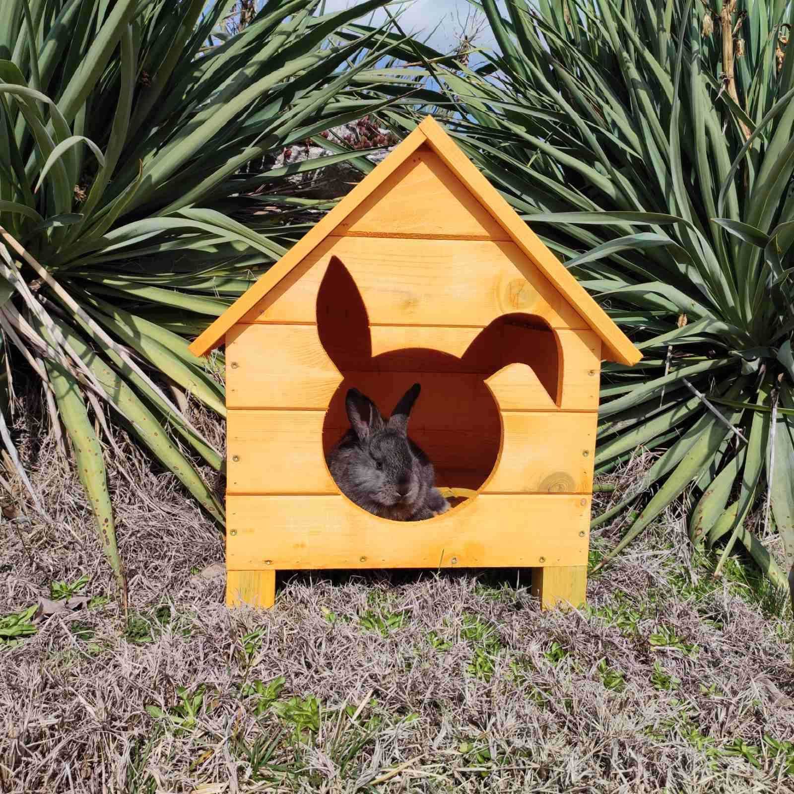 Къща за заек Къщичка за заек  Клетка за зайче Колиба за зайци