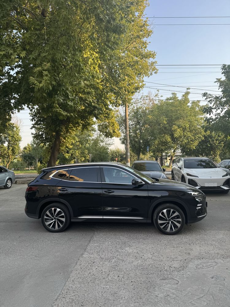 byd chempion 605