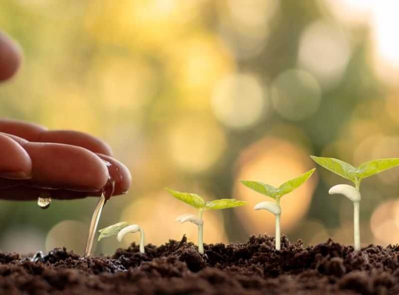 Кокос торфи 50 литрлик қопларда